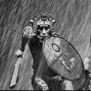 Meet your Posher, Damian